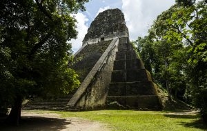 Site de Tikal. Temple 5. 16 septembre 2010 © Willy Blanchard