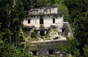 Site archéologique Maya de Tikal. Vue sur l'Acropole Centrale depuis le temple 5. 16 septembre 2010 © Willy Blanchard