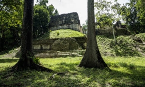 Site archéologique Maya de Tikal. 16 septembre 2010 © Willy Blanchard