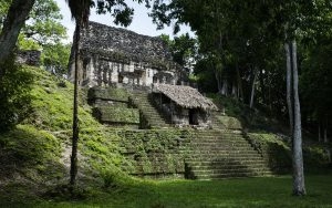 Site Maya de Tikal. 16 septembre 2010 © Willy Blanchard