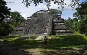 Site archéologique Maya de Tikal. "Le monde perdu". Temple 5C-49. 16 septembre 2010 © Willy Blanchard