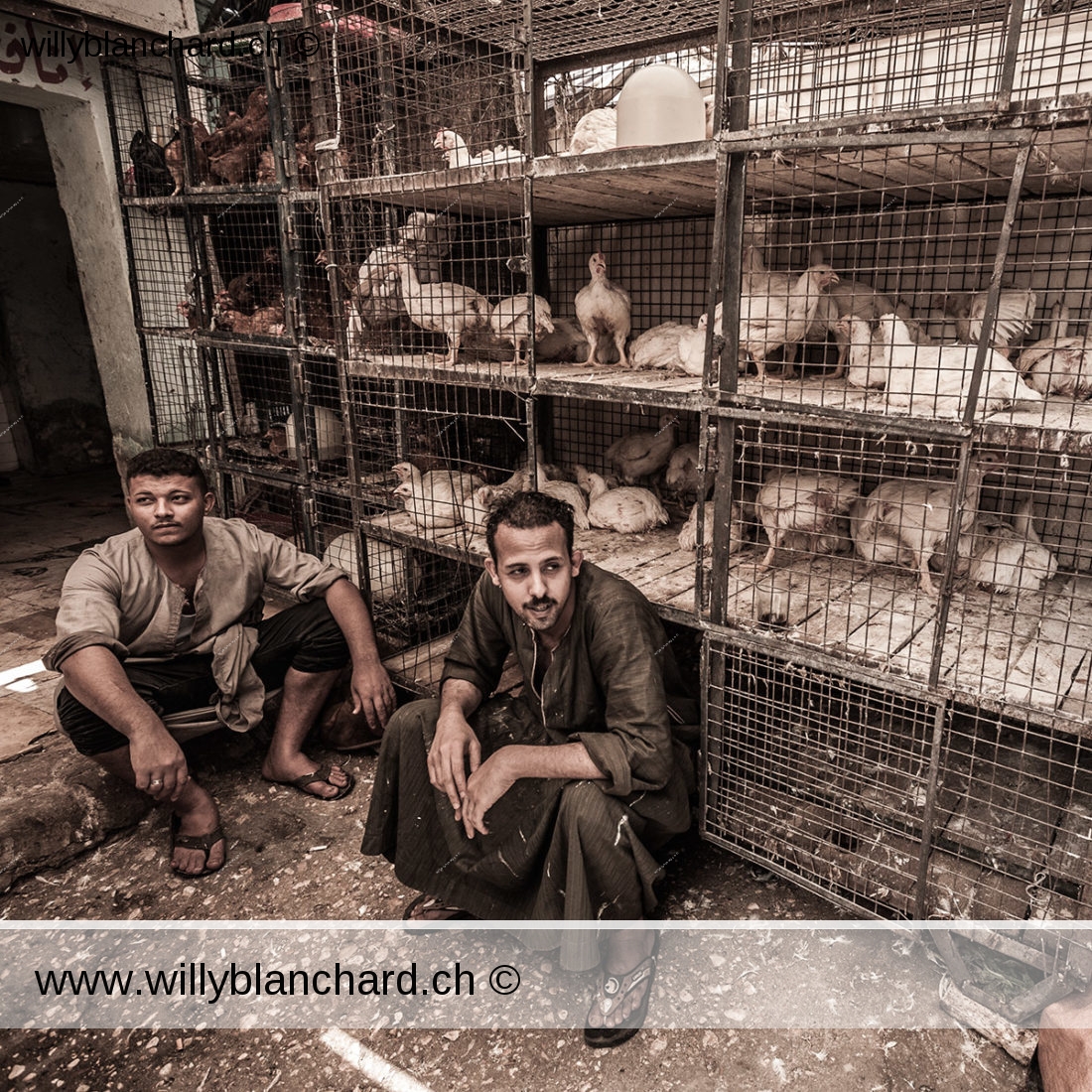 Égypte, Louxor. Souk de Louxor. Les personnes. 11 septembre 2014 © Willy Blanchard