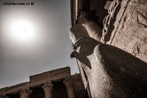 Égypte, Edfou, temple d'Horus. Horus. 17 septembre 2014 © Willy Blanchard