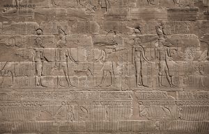 Égypte, Edfou, temple d'Horus. Hiéroglyphe. 17 septembre 2014 © Willy Blanchard