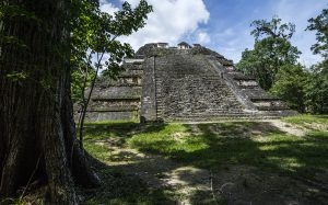 Site Maya de Tikal. "Le monde perdu". Temple 5C-49. 16 septembre 2010 © Willy Blanchard