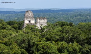 Site Maya de Tikal. Vue depuis le temple 4 sur les temples I et II. 16 septembre 2010 © Willy Blanchard
