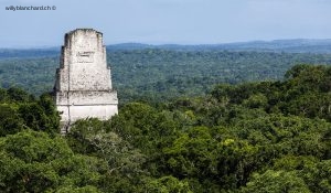 Site Maya de Tikal. Vue depuis le temple 4. Vue sur le temple 3. 16 septembre 2010 © Willy Blanchard