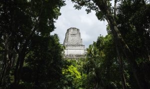 Site archéologique Maya de Tikal. Temple 3. 16 septembre 2010 © Willy Blanchard