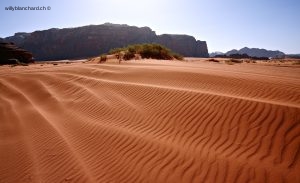 Jordanie, Wadi Rum. 22 septembre 2009 © Willy Blanchard