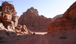 Jordanie, Wadi Rum. 22 septembre 2009 © Willy Blanchard