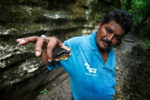 Guatemala, site archéologique Maya d'Aguateca. Le guide avec une tortue. 22 septembre 2010 © Willy Blanchard