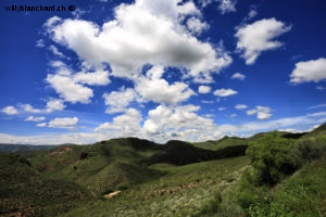 Mexique, paysage de l'État de Durango. 8 septembre 2008 © Willy Blanchard