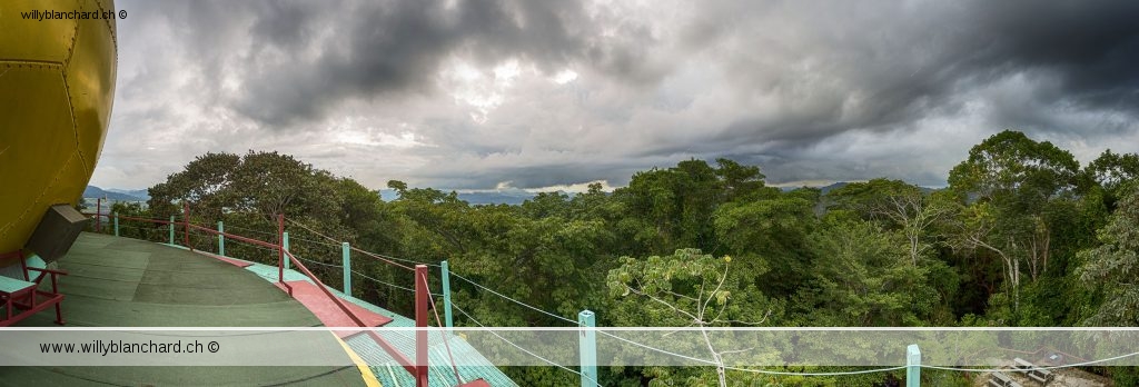 Panama. Canopy Tower, au coeur du parc Soberania. Panorama depuis le toit