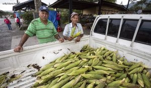 Panama, Coclé, El Valle de Anton. Mercado municipal, marché de El Valle de Anton. 24 septembre 2015 © Willy Blanchard