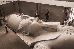 Égypte, site archéologique de Memphis. Statue en calcaire de Ramsès II. 7 septembre 2014 © Willy Blanchard