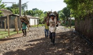 Guatemala, Izabal, Agua Caliente. Enfants transportant du bois