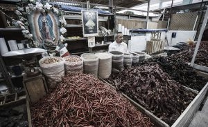Mexique, San Luis Potosi. Mercado Republica. 16 septembre 2008 © Willy Blanchard