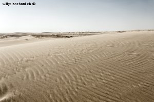 Égypte, Fayoum, désert de Wadi Rayyan. 21 septembre 2014