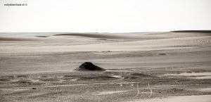 Égypte, Fayoum, désert de Wadi Rayyan. 21 septembre 2014