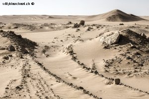 Égypte, Fayoum, désert Wadi Rayyan. 21 septembre 2014