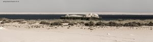 Égypte, Fayoum, désert Wadi Rayyan. Panorama et lac. Montage de plusieurs images. 21 septembre 2014