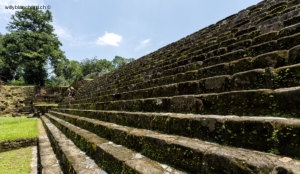 Guatemala, Izabal. Site archéologique maya de Quiriguá. Escalier menant à la zone de l'acropolis, Gran Plaza à gauche. 9 septembre 2010 © Willy Blanchard