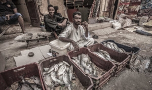 Égypte, le souk de Louxor. Souk égyptien. Marchand de poissons. 11 septembre 2014 © Willy Blanchard