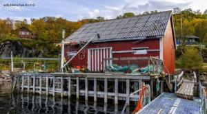 Norvège , Nordland, Jektvika, Birkelund. Maison de pêcheur. 27 septembre 2006 © Willy Blanchard