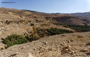 Jordanie. Gouvernorat de Madaba. La source de Moïse. 24 septembre 2009 © Willy Blanchard