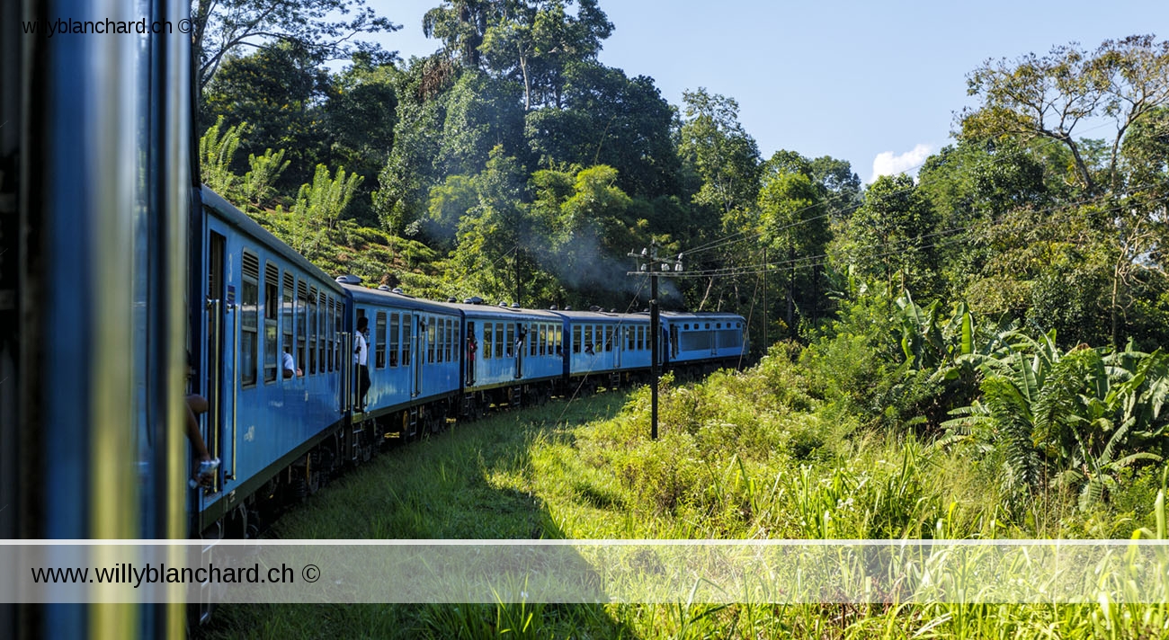 Sri Lanka. Trajet en train de montagne, de Demodara à Bandarawela. 11 septembre 2018 © Willy Blanchard