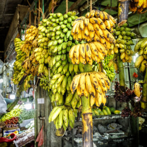 Sri Lanka, Nuwara Eliya. Marché central (Central market). Bananes. 11 septembre 2018 © Willy Blanchard