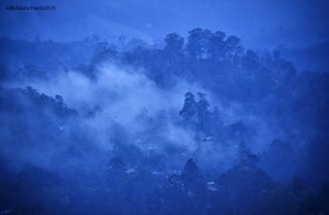 Sri Lanka, Ella. Vue depuis l'hôtel Ella Gap Panorama. À l'heure bleue, entre chien et loup. 10 septembre 2018 © Willy BLANCHARD