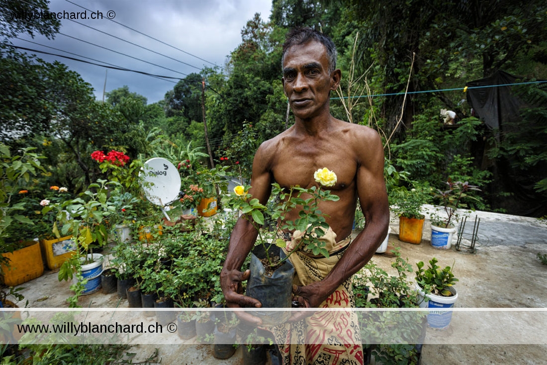 Sri Lanka. Portrait d'un fleuriste sur la route d'Ella. 10 septembre 2018 © Willy BLANCHARD