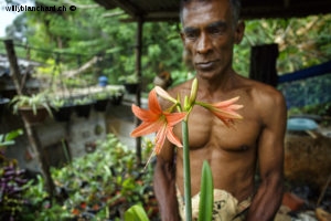 Sri Lanka. Portrait d'un fleuriste sur la route d'Ella. 10 septembre 2018 © Willy BLANCHARD