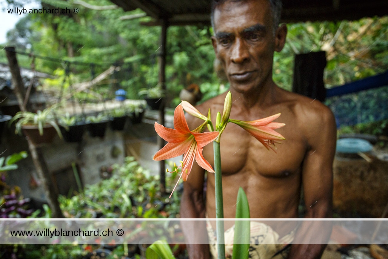 Sri Lanka. Portrait d'un fleuriste sur la route d'Ella. 10 septembre 2018 © Willy BLANCHARD