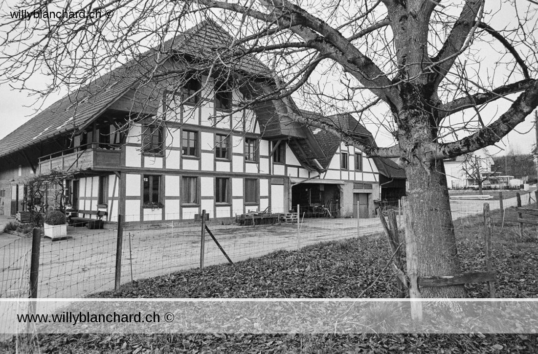 Epsach, canton de Berne, ferme et maison bernoise. 28 décembre 2019 © Willy BLANCHARD