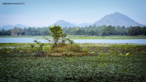 Sri Lanka, Tissamaharama. Lakeside Walkway. 9 septembre 2018 © Willy BLANCHARD