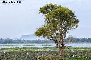 Sri Lanka, Tissamaharama. Lakeside Walkway. 9 septembre 2018 © Willy BLANCHARD