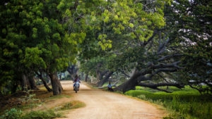 Sri Lanka, Tissamaharama. Lakeside Walkway. 9 septembre 2018 © Willy BLANCHARD