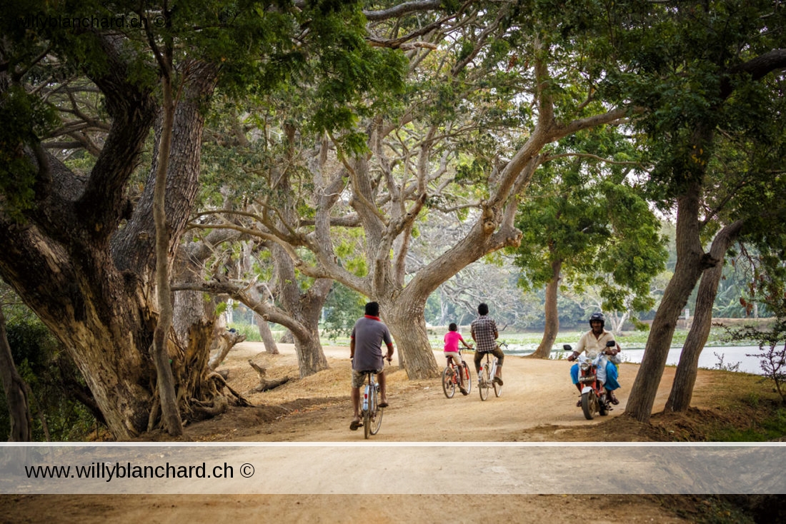 Sri Lanka, Tissamaharama. Lakeside Walkway. 9 septembre 2018 © Willy BLANCHARD