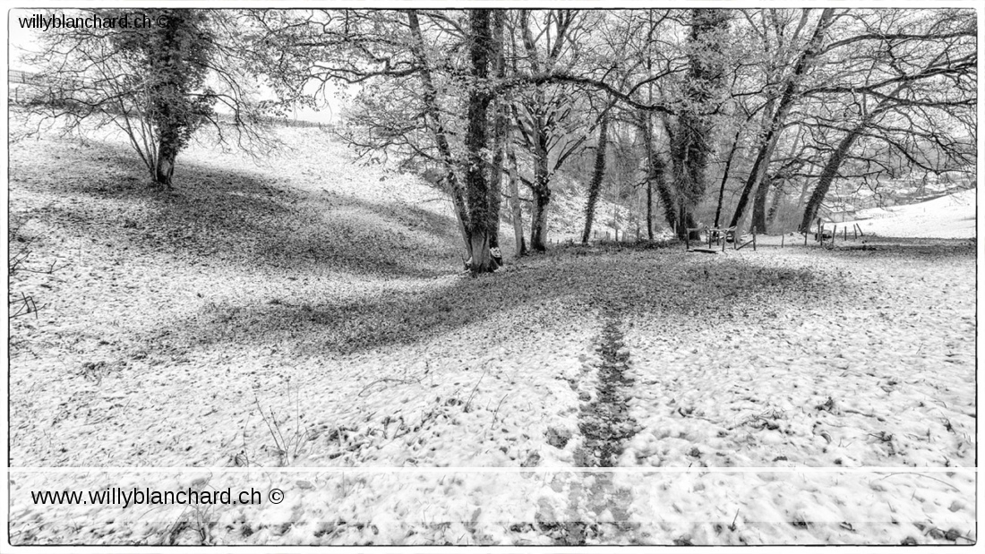 Lucens, automne, première neige. 5 décembre 2020 © Willy BLANCHARD