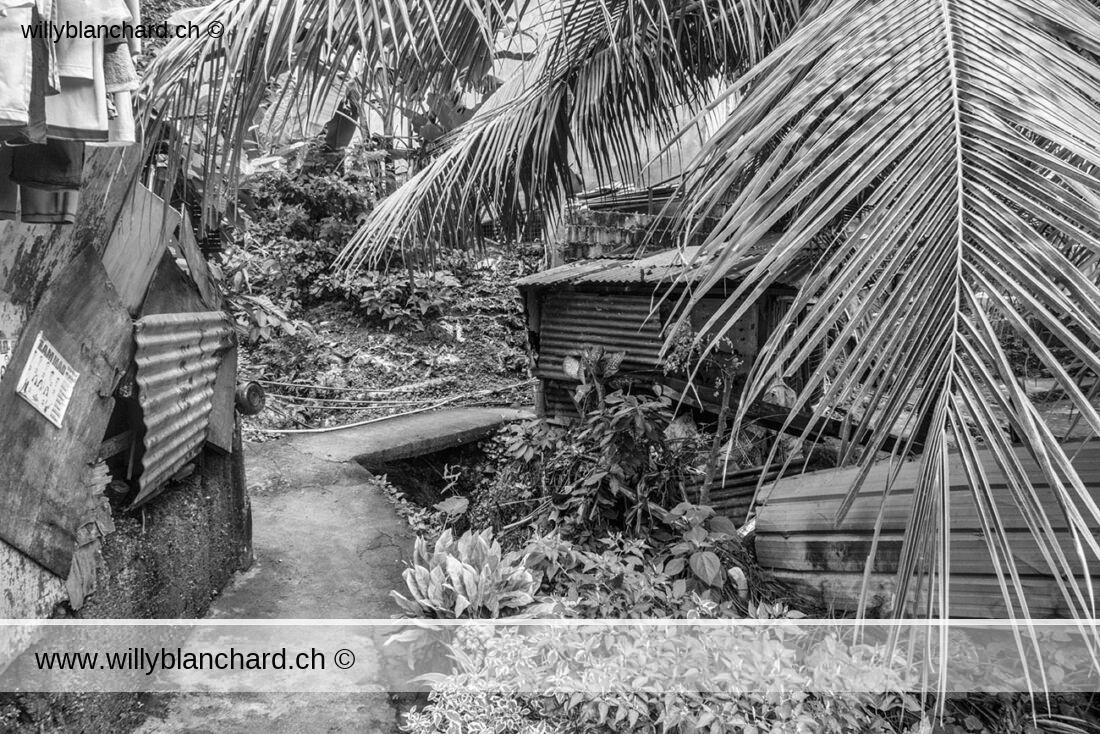 Cebu City, Philippines. Vallon ouest de Nivel Hills. 20 janvier 2025 © Willy BLANCHARD