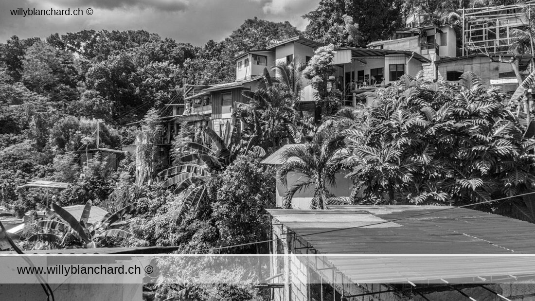 Quartier de Lahug, Cebu City, Philippines. Vallon ouest de Nivel Hills. 20 janvier 2025 © Willy BLANCHARD